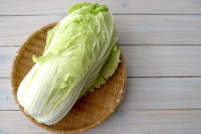 【白菜】節約レシピ15選!今年は白菜が安い?!主菜・副菜に大活躍!丸ごと買っても大丈夫♪