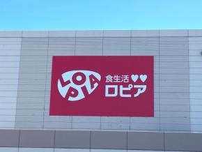 【ロピア】つるつるもっちり！北海道産じゃがいもを使用した新商品「じゃがとん餃子」この冬常備したい！