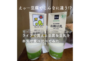 えっ…豆腐でこんなに違う！？ライフで買える豆腐＆豆乳を本気で食べ比べてみた