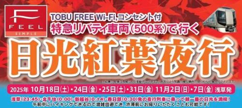 日光紅葉夜行