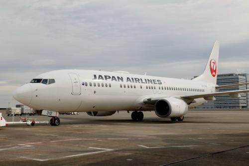 JAL 737-800 JA312J