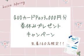 米子空港、米子～ソウル/仁川線利用でQUOカードPay3,000円分進呈　2月・3月に先着160人