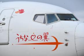 JALとJTA、東京/羽田〜沖縄/那覇線でGWに臨時便 計6便