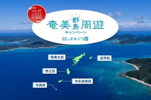 JALふるさと応援割 奄美しまめぐり割