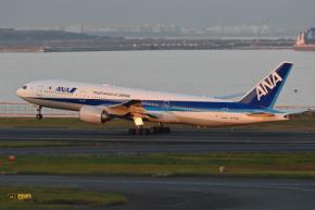 ANA、国内線224便を欠航　台風13号接近で