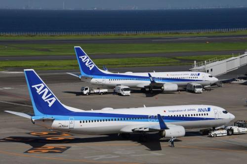 全日本空輸/ANA(ボーイング737-800型機)