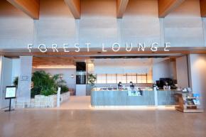 羽田1タミに新カードラウンジ「FOREST LOUNGE」 北側サテライトに9月1日オープン