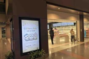 羽田空港T1に「Chiikawa Baby POP UP SHOP」、9月28日まで