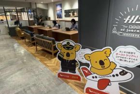 カンタス航空、コアラのマーチとコラボキャンペーン 10月31日まで
