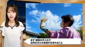 玄関まわりの緑でうつが16%減!千葉大学発表、その理由とは…