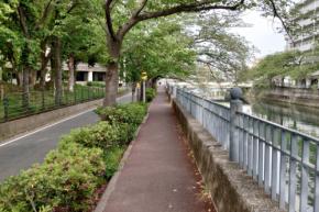 路上で『女子児童(7)にわいせつ行為』　無職の男(29)逮捕　男は「その時間は寝ていた…」と容疑否認中