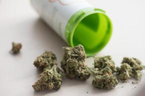 自宅で『乾燥大麻』所持 市立中学校・男性教諭(45)&女性講師(44)逮捕 【自身が使用】する目的で…