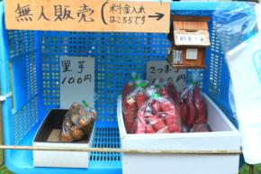 『食料品115点』盗んだ小学校教諭(62)懲戒免職 ミスした生徒に「腕立て400回・もも上げ500回」 【昭和すぎる】高校教諭も処分