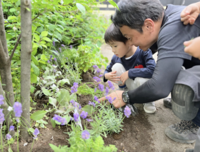 なぜ都市部で「園庭を知らない子ども」が増えているのか？ 私立保育所の7割が園庭なしの危機と、幼児教育が向き合う「体験格差」