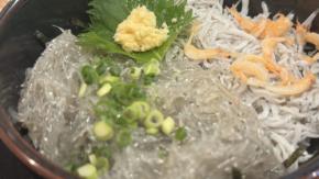 江の島の「しらす2色丼」＆湘南の海が最高！（from江ノ島）