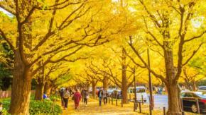 プロが厳選！「穴場紅葉スポット」ランキングTOP10（後半）