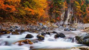 プロが厳選！「穴場紅葉スポット」ランキングTOP10（前半）