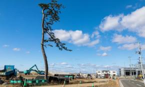 【目黒教授のワンポイント防災講座 vol.23】“総合的災害管理”ってなんですか?