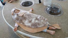 生き物好きの子供なら、ぜひいわき市の水族館内まで連れてって♡ 生き物体験できる新エリアがとっても面白そう!