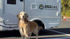 朝も夜もずっとワンちゃんと一緒に旅行♡ 愛犬愛猫同乗可能なキャンピングレンタカーをリコメンド(from深谷)