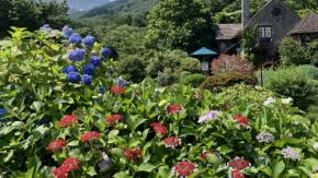 ガラスと花々が織りなす初夏の絶景！ 箱根の森で、クリスタルあじさいや麗しのローズに包まれる贅沢♡