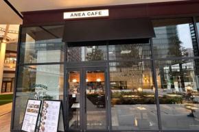 【店内OK】ANEA CAFE豊洲は犬連れで過ごせる最高のカフェ！メニュー・ドッグメニュー・店内の雰囲気を徹底紹介