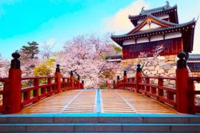【2026年 大河ドラマ効果】奈良・大和郡山 完全ガイド｜豊臣兄弟ゆかりの地めぐり・グルメ・おすすめ宿まで厳選紹介