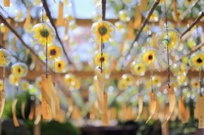 夏限定！風鈴・花手水が絶景が映える神社仏閣7選