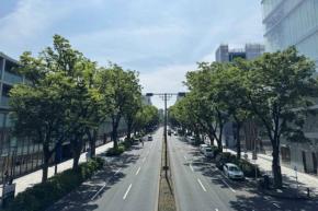 【2026年夏】表参道の猛暑日おでかけ｜涼しく過ごせるおすすめスポット6選