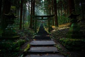 【2026年最新】 お金が