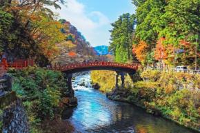 【関東・2026年】紅葉に包まれる絶景神社8選｜今年の見頃はいつ？