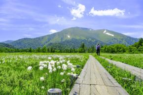 暑い夏に行きたい!関東から日帰りで行ける避暑地10選