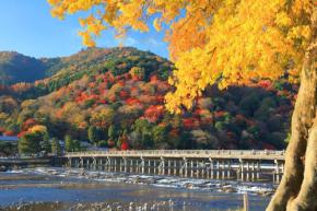 【京都】 嵐山の紅葉さんぽ｜見頃・名所・周辺グルメの楽しみ方