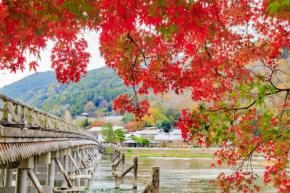 【関西・2026年】紅葉に包まれる絶景神社9選｜今年の見頃はいつ？