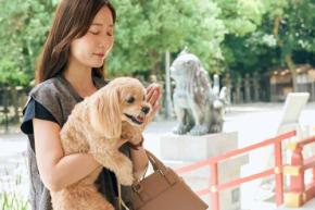 【関東】犬連れで参拝できる神社9選|愛犬のペット祈願・御朱印・お守りも