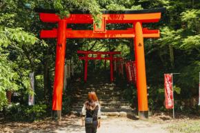 【2026年最新】運命を変える最強パワースポット神社6選|金運・恋愛・仕事運を底上げする参拝完全ガイド