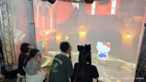 新技術「ROOMDIVE」も活用!