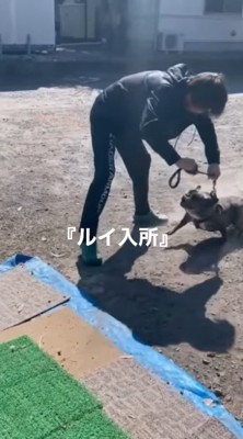 ひどい噛みつき癖