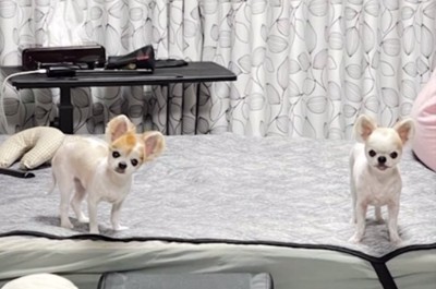 尊い光景