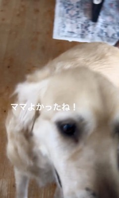 良かったね！