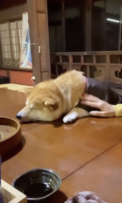 飲んだくれ…？？