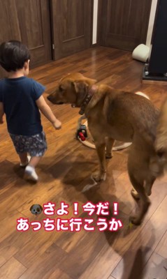 小夜ちゃんを守る咲太郎くん9
