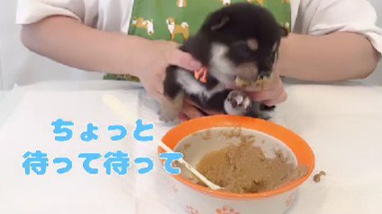 大興奮でジタバタ！