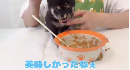 ごちそうさまでした♪