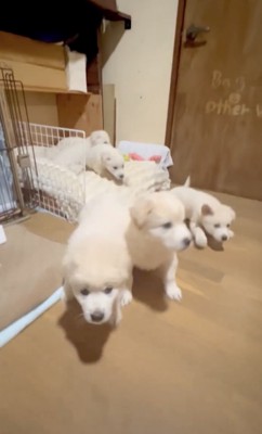 一目散