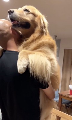 抱っこ最高