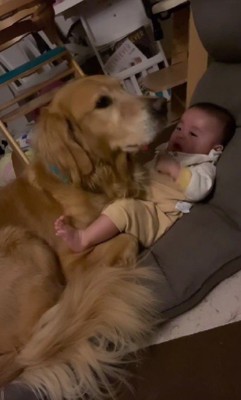 見守りを始めた♡