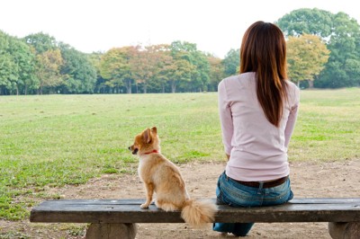 背を向けて座る犬