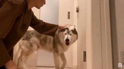 頭を拭かれる文太くん