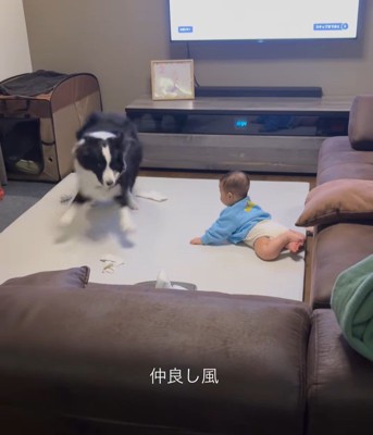 こり男くんと赤ちゃん9